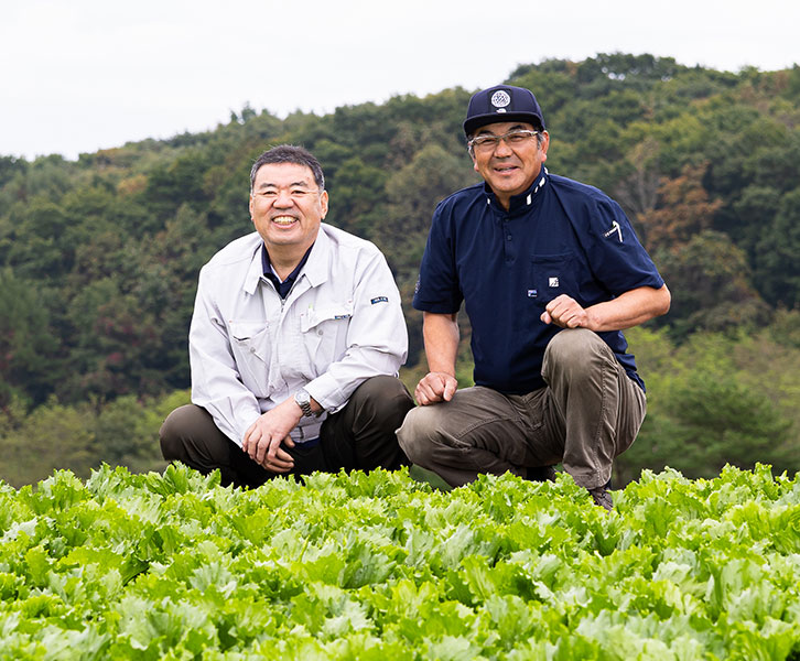 トラクターの自動操舵の導入でレタス栽培の効率化を促進