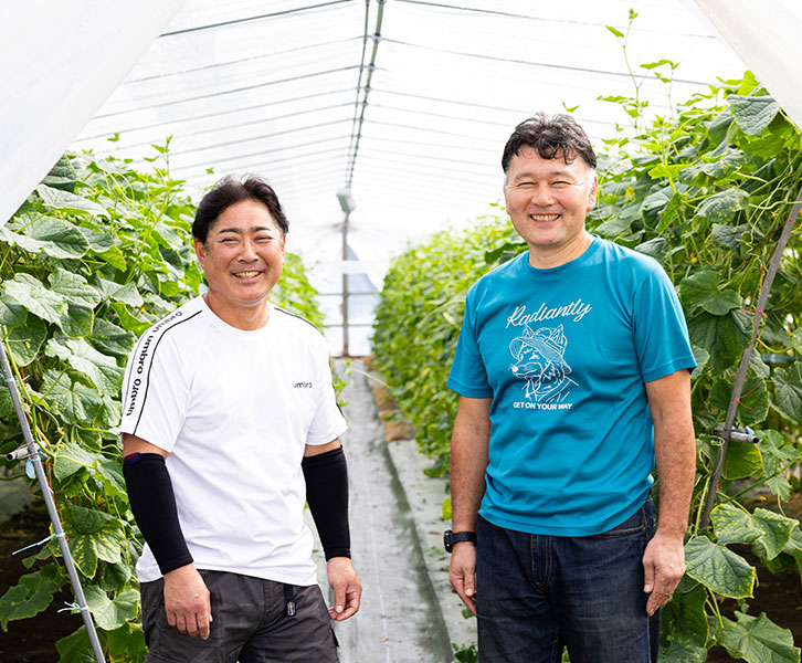 環境制御技術できゅうり栽培の省力化・効率化を実現